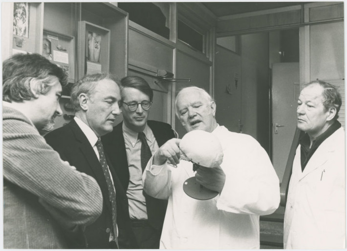 Erklärung des menschlichen Schädels