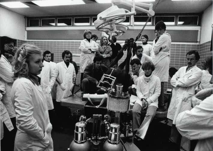  Pferd auf Operationstisch