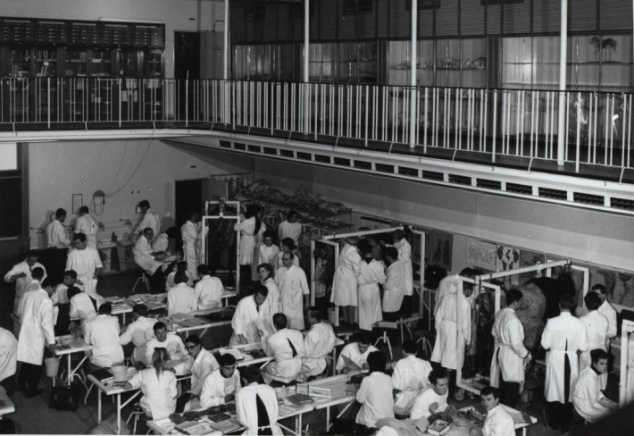 Präpariersaal im Institut für Veterinär-Anatomie